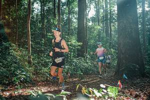 BIB: 
                            <button type="button" onclick="openModal(26074258)" class="btn btn-primary btn-sm float-right btn-popup" data-toggle="modal" data-target=".modal-high-quality">
                        <i class="fas fa-shopping-cart"></i> Add to Cart
                    </button>
                                            <button type="button" onclick="isThisMe(26074258, true)" class="btn btn-success btn-sm float-right btn-popup btn-isme hidden" data-toggle="tooltip" data-placement="bottom" title="นี่คือรูปของคุณใช่ไหม คลิกที่นี่เพื่อเอาเข้าอัลบั้ม">
                        <i class="fas fa-plus"></i> Add to album
                    </button>
                    <button type="button" onclick="isThisMe(26074258, false)" class="btn btn-warning btn-sm float-right btn-popup btn-isnotme hidden">
                        <i class="fas fa-ban"></i> Remove from album
                    </button>